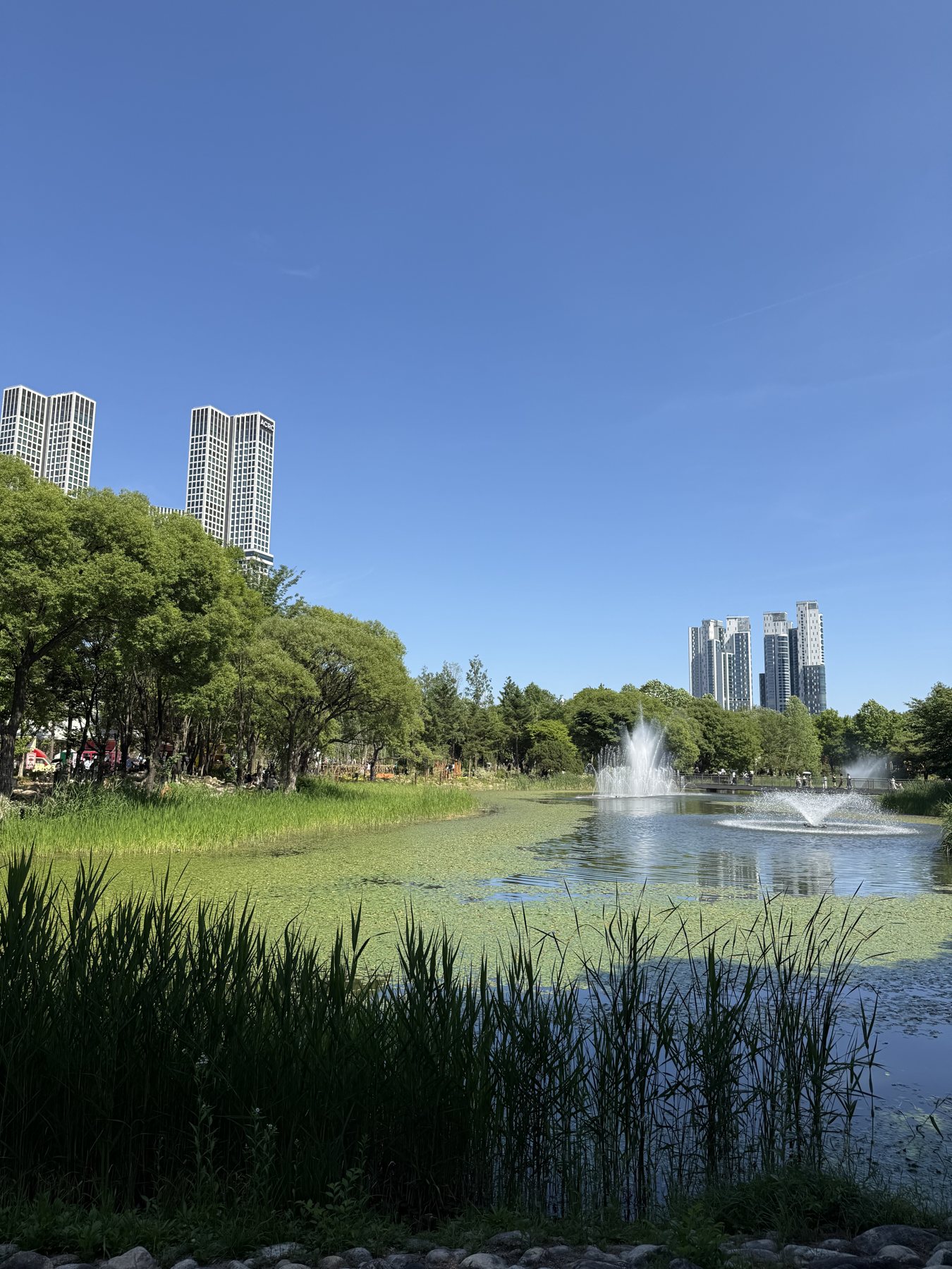 Seoul Forest pond and Seongsu skyline